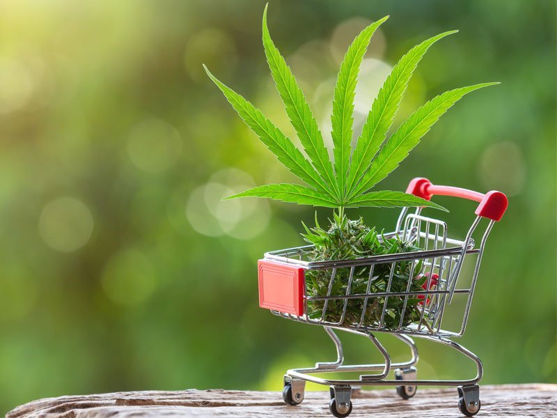 Massachusetts Sets Record-Breaking Cannabis Sales Milestone, While New York Faces Cannabis Market Challenges